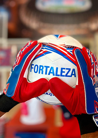 ACESSÓRIOS DO LAION